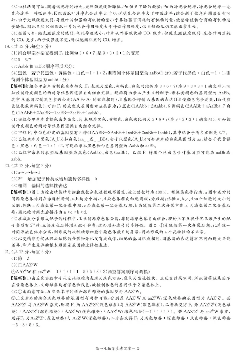 生物答案（高一4月期中）_2025年04月试卷_0422湖南省名校联考联合体2024-2025学年高一下学期期中考试_湖南省名校联考联合体2024-2025学年高一下学期期中考试生物试题扫描版含解析