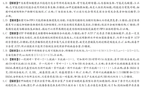 生物答案（高一4月期中）_2025年04月试卷_0422湖南省名校联考联合体2024-2025学年高一下学期期中考试_湖南省名校联考联合体2024-2025学年高一下学期期中考试生物试题扫描版含解析