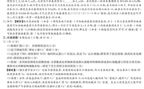 生物答案（高一4月期中）_2025年04月试卷_0422湖南省名校联考联合体2024-2025学年高一下学期期中考试_湖南省名校联考联合体2024-2025学年高一下学期期中考试生物试题扫描版含解析