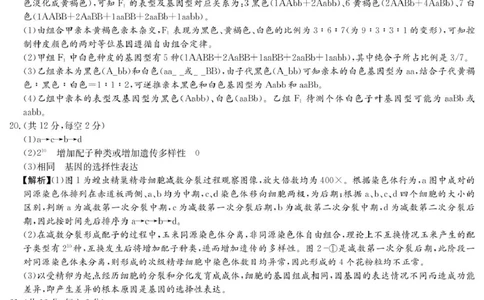 生物答案（高一4月期中）_2025年04月试卷_0422湖南省名校联考联合体2024-2025学年高一下学期期中考试_湖南省名校联考联合体2024-2025学年高一下学期期中考试生物试题扫描版含解析
