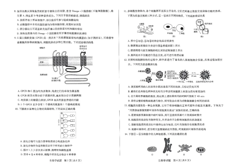生物试题_2024年11月试卷_1120河南省天一大联考2024&mdash;2025学年（上）高一年级期中考试_河南省部分学校2024-2025学年高一上学期期中考试生物试题含答案