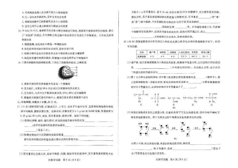 生物试题_2024年11月试卷_1120河南省天一大联考2024&mdash;2025学年（上）高一年级期中考试_河南省部分学校2024-2025学年高一上学期期中考试生物试题含答案