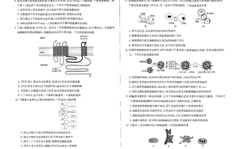 生物试题_2024年11月试卷_1120河南省天一大联考2024&mdash;2025学年（上）高一年级期中考试_河南省部分学校2024-2025学年高一上学期期中考试生物试题含答案