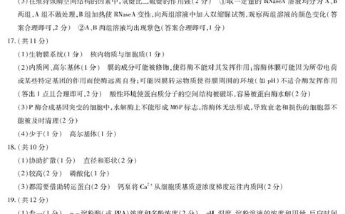 生物学-海南高一上期末简易答案_2026年01月高一试卷_260126海南省天一大联考2025-2026学年高一上学期1月期末联考_海南省部分学校2025-2026学年高一上学期1月期末生物试题（PDF版，含答案）