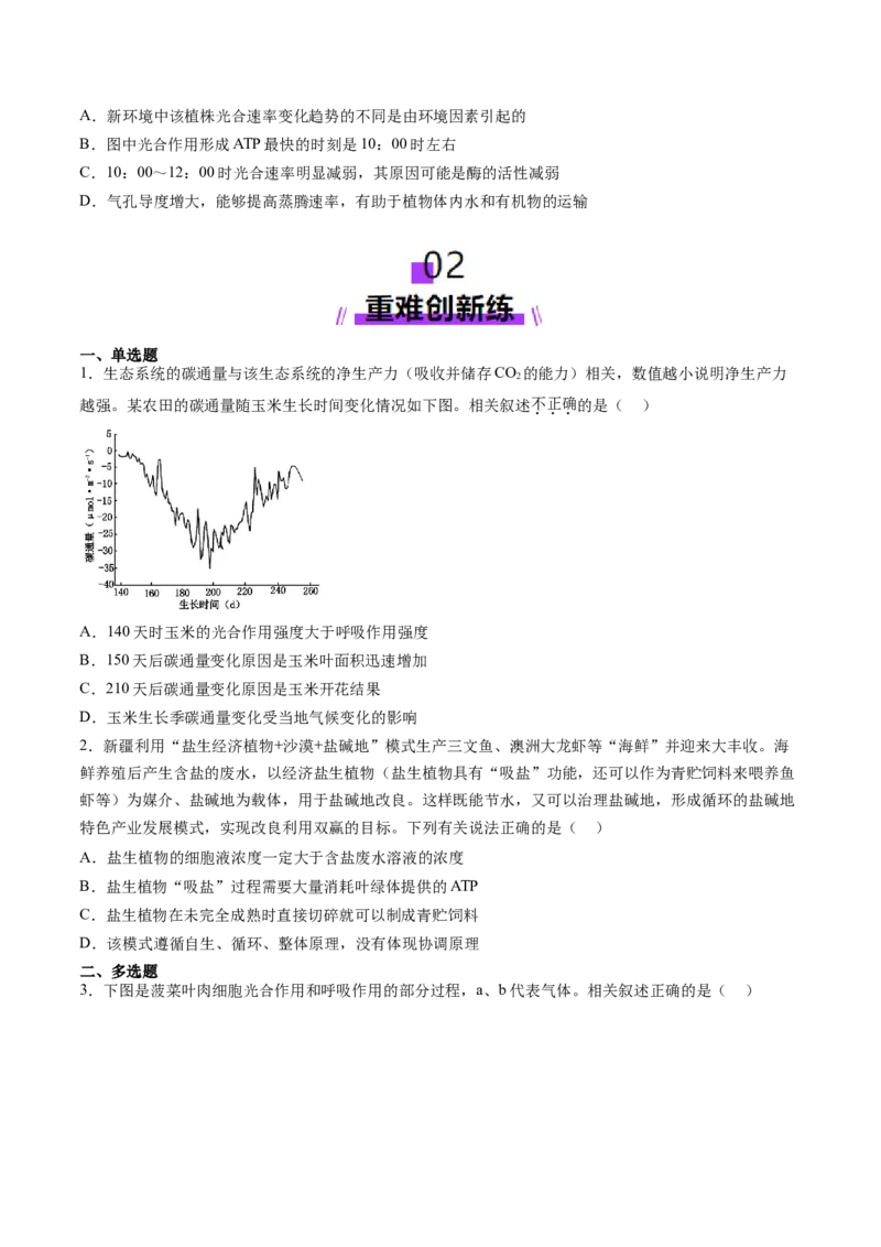 第11讲细胞代谢综合分析（练习）（原卷版）_新高考复习资料_2025年新高考资料_2025年高考生物一轮复习讲练测（新教材新高考）