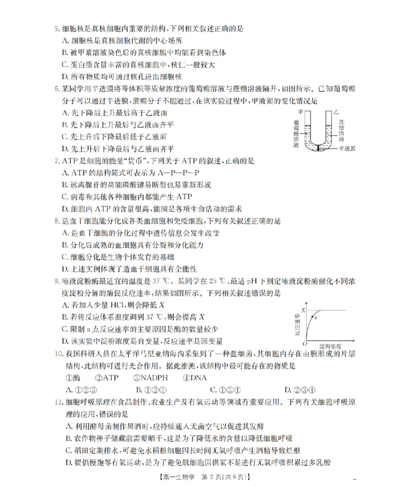 生物学_扫描版_2026年03月高一试卷_260326云南金太阳2025-2026学年高一下学期3月开学联考_云南省多校2025-2026学年高一下学期3月学情自测生物试题