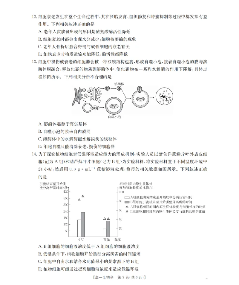 生物学_扫描版_2026年03月高一试卷_260326云南金太阳2025-2026学年高一下学期3月开学联考_云南省多校2025-2026学年高一下学期3月学情自测生物试题