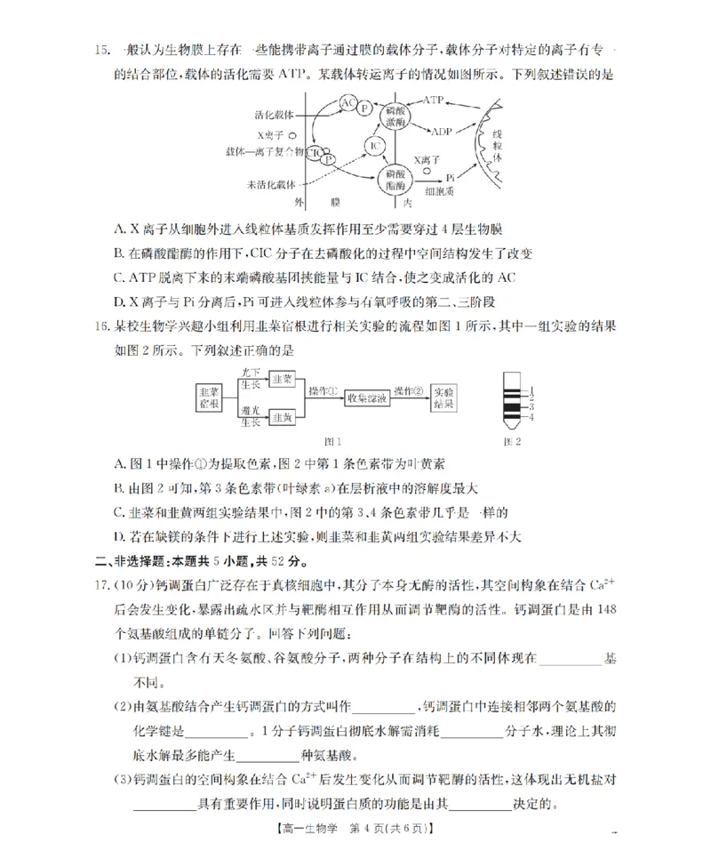 生物学_扫描版_2026年03月高一试卷_260326云南金太阳2025-2026学年高一下学期3月开学联考_云南省多校2025-2026学年高一下学期3月学情自测生物试题