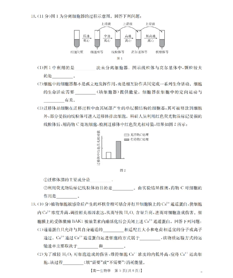 生物学_扫描版_2026年03月高一试卷_260326云南金太阳2025-2026学年高一下学期3月开学联考_云南省多校2025-2026学年高一下学期3月学情自测生物试题