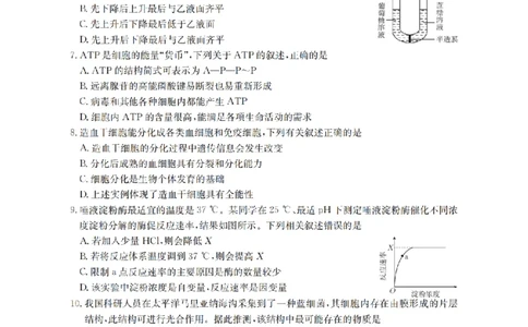 生物学_扫描版_2026年03月高一试卷_260326云南金太阳2025-2026学年高一下学期3月开学联考_云南省多校2025-2026学年高一下学期3月学情自测生物试题