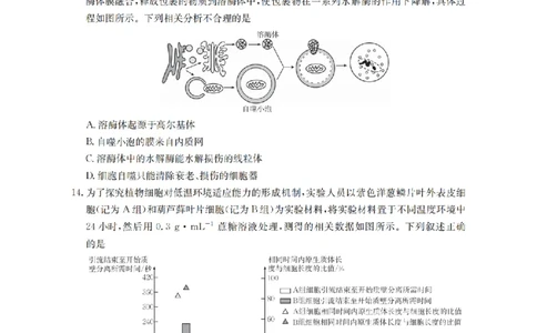 生物学_扫描版_2026年03月高一试卷_260326云南金太阳2025-2026学年高一下学期3月开学联考_云南省多校2025-2026学年高一下学期3月学情自测生物试题