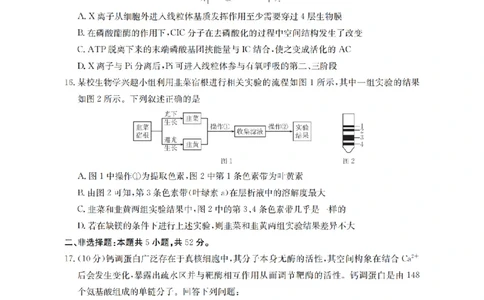 生物学_扫描版_2026年03月高一试卷_260326云南金太阳2025-2026学年高一下学期3月开学联考_云南省多校2025-2026学年高一下学期3月学情自测生物试题