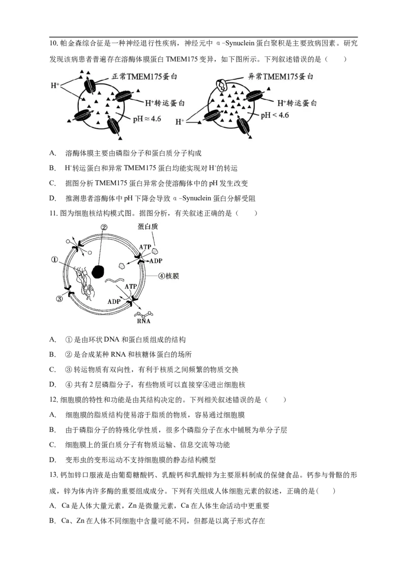 白城一中2025-2026学年度高一上学期第一次月考生物试卷_2025年10月高一试卷_251024吉林省白城市第一中学2025-2026学年高一上学期第一次月考