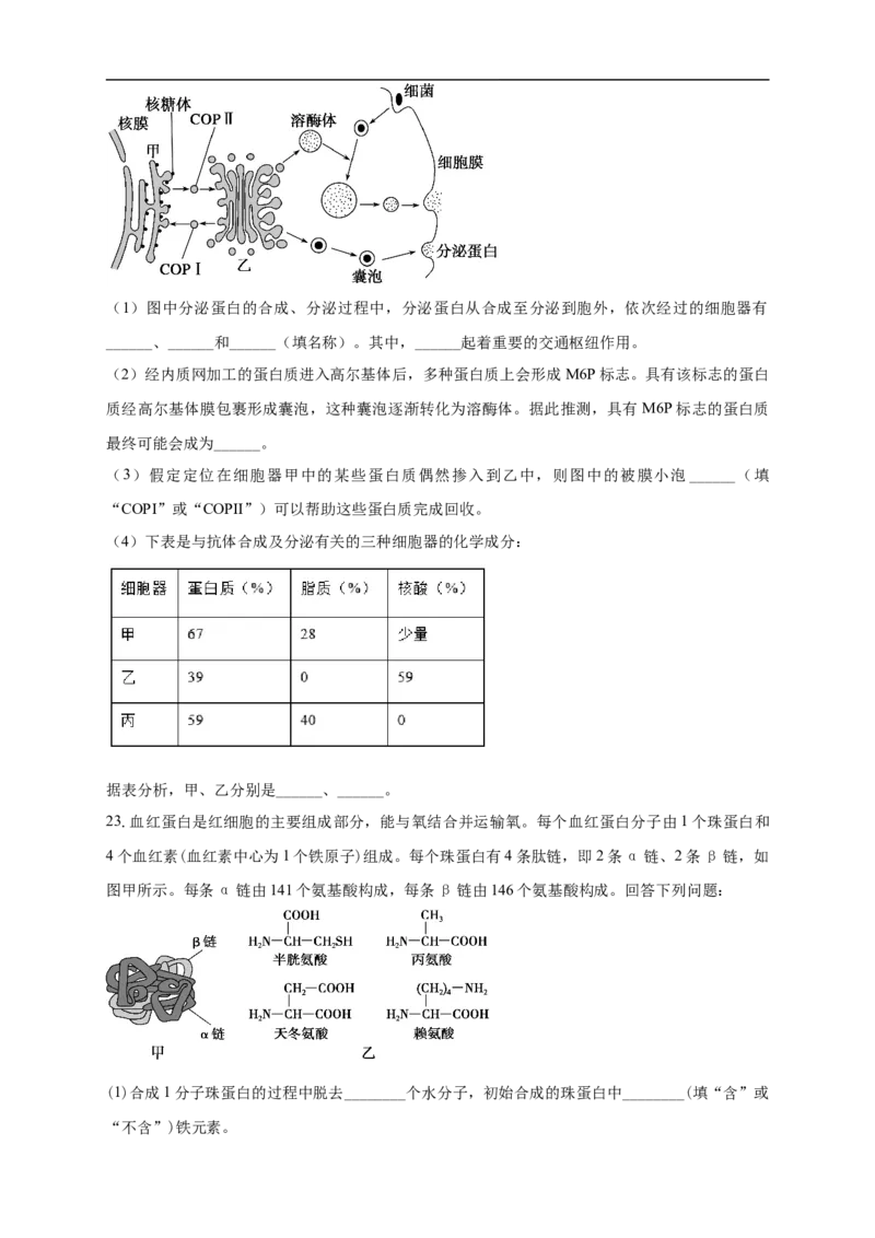 白城一中2025-2026学年度高一上学期第一次月考生物试卷_2025年10月高一试卷_251024吉林省白城市第一中学2025-2026学年高一上学期第一次月考