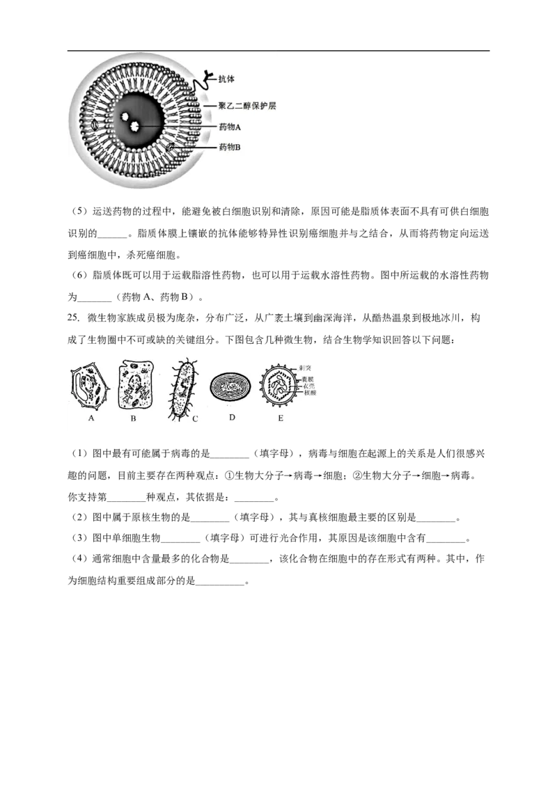 白城一中2025-2026学年度高一上学期第一次月考生物试卷_2025年10月高一试卷_251024吉林省白城市第一中学2025-2026学年高一上学期第一次月考