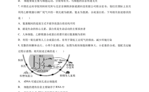 白城一中2025-2026学年度高一上学期第一次月考生物试卷_2025年10月高一试卷_251024吉林省白城市第一中学2025-2026学年高一上学期第一次月考