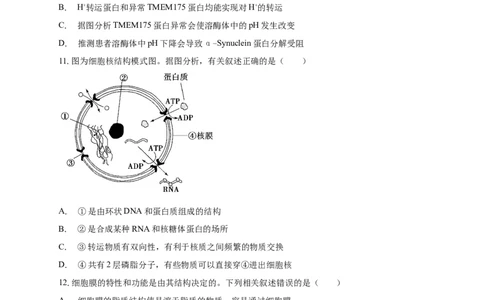 白城一中2025-2026学年度高一上学期第一次月考生物试卷_2025年10月高一试卷_251024吉林省白城市第一中学2025-2026学年高一上学期第一次月考