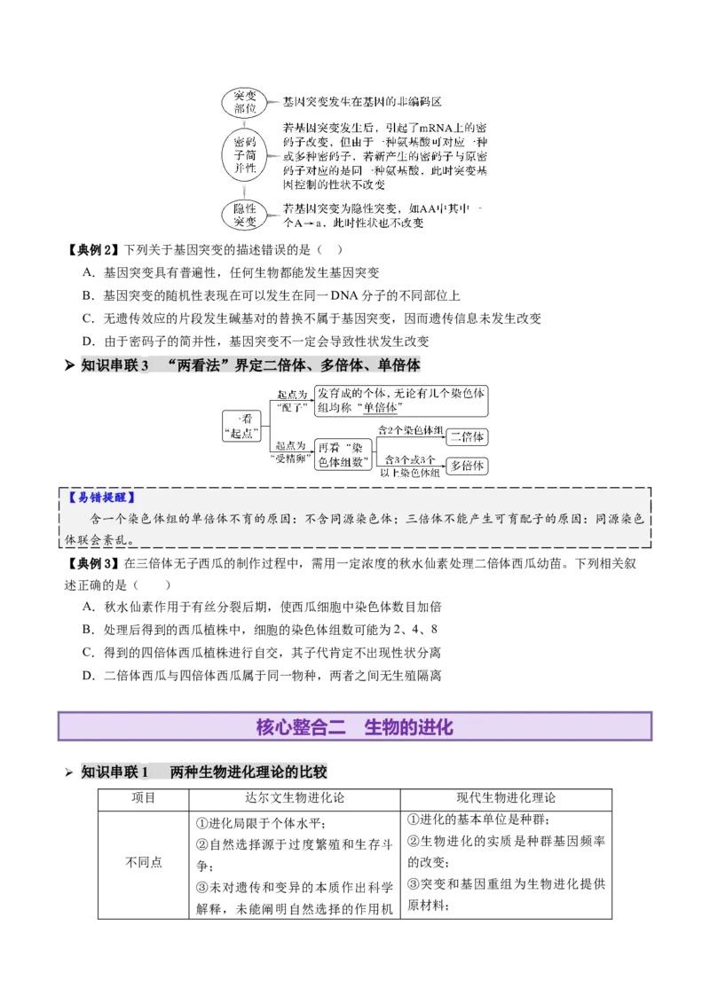 第10讲生物的变异和进化（讲义）（原卷版）_2025年新高考资料_二轮复习_01高考语文等多个文件_上好课2025年高考生物二轮复习讲练测（新高考通用）