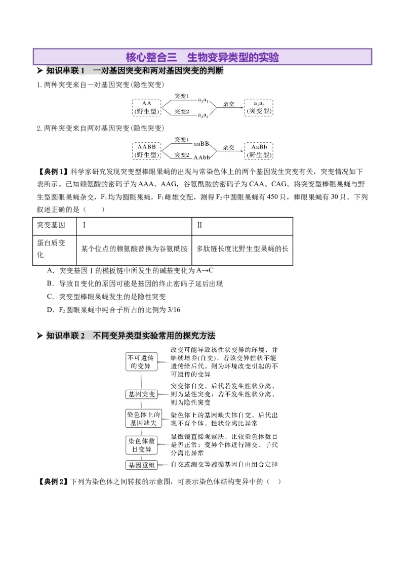 第10讲生物的变异和进化（讲义）（原卷版）_2025年新高考资料_二轮复习_01高考语文等多个文件_上好课2025年高考生物二轮复习讲练测（新高考通用）