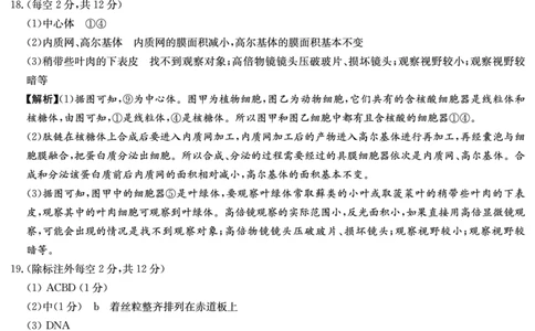 生物答案（高一入学2期）_副本_2026年03月高一试卷_260325湖南长沙市长郡中学2025-2026学年高一下学期入学考试全科_06生物_湖南长沙市长郡中学高一下学期入学考试