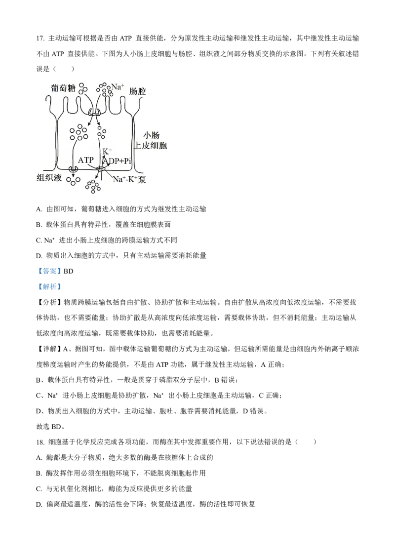 生物2025-2026长春汽三高一上期末考试_2026年02月高一试卷_260209吉林省长春市长春汽车经济技术开发区第三中学2025-2026学年高一上学期期末考试