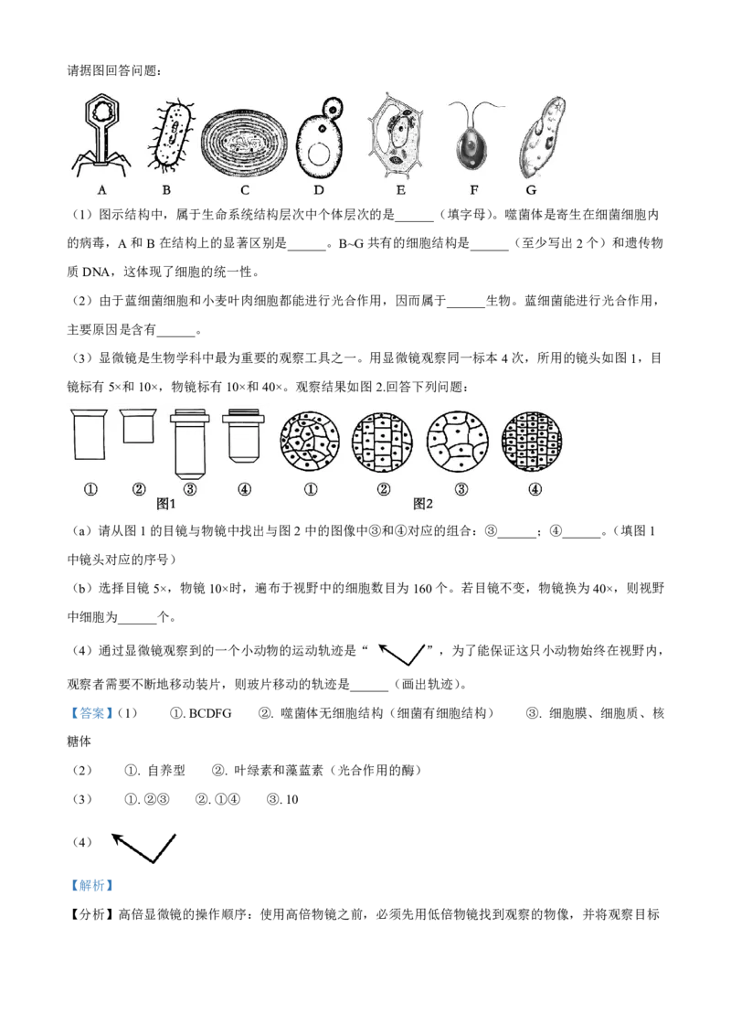 生物2025-2026长春汽三高一上期末考试_2026年02月高一试卷_260209吉林省长春市长春汽车经济技术开发区第三中学2025-2026学年高一上学期期末考试