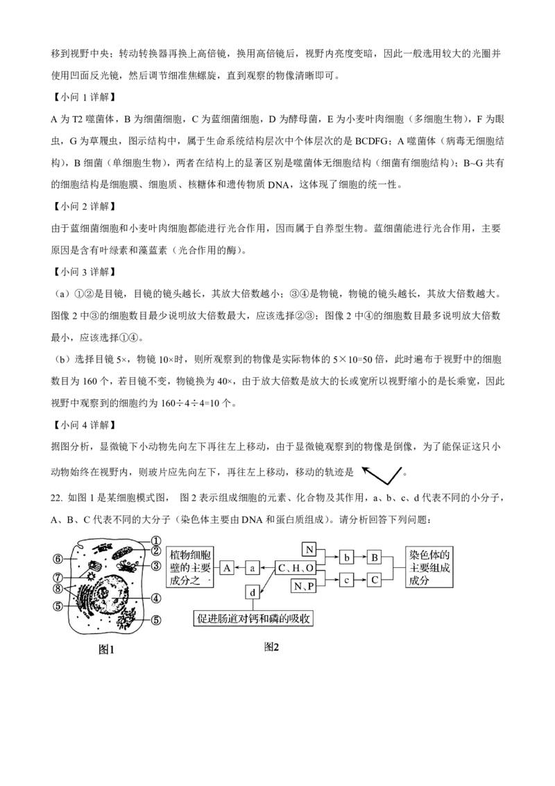 生物2025-2026长春汽三高一上期末考试_2026年02月高一试卷_260209吉林省长春市长春汽车经济技术开发区第三中学2025-2026学年高一上学期期末考试