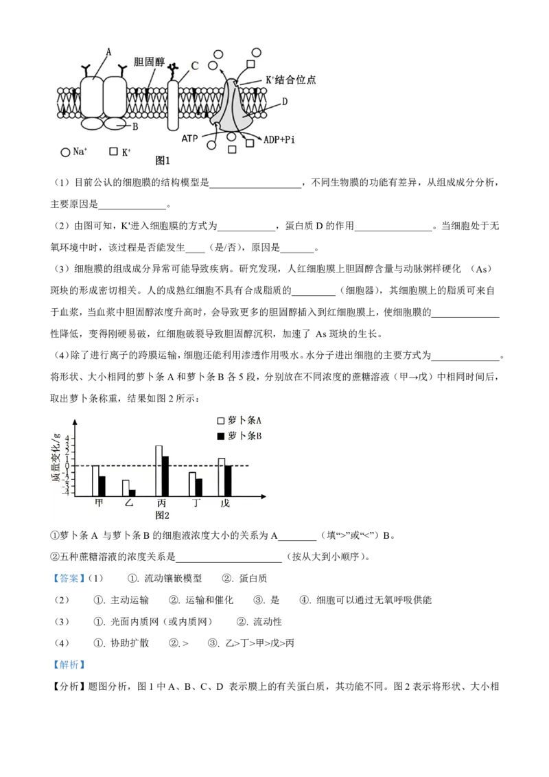 生物2025-2026长春汽三高一上期末考试_2026年02月高一试卷_260209吉林省长春市长春汽车经济技术开发区第三中学2025-2026学年高一上学期期末考试