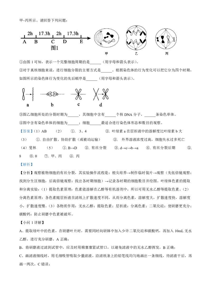 生物2025-2026长春汽三高一上期末考试_2026年02月高一试卷_260209吉林省长春市长春汽车经济技术开发区第三中学2025-2026学年高一上学期期末考试