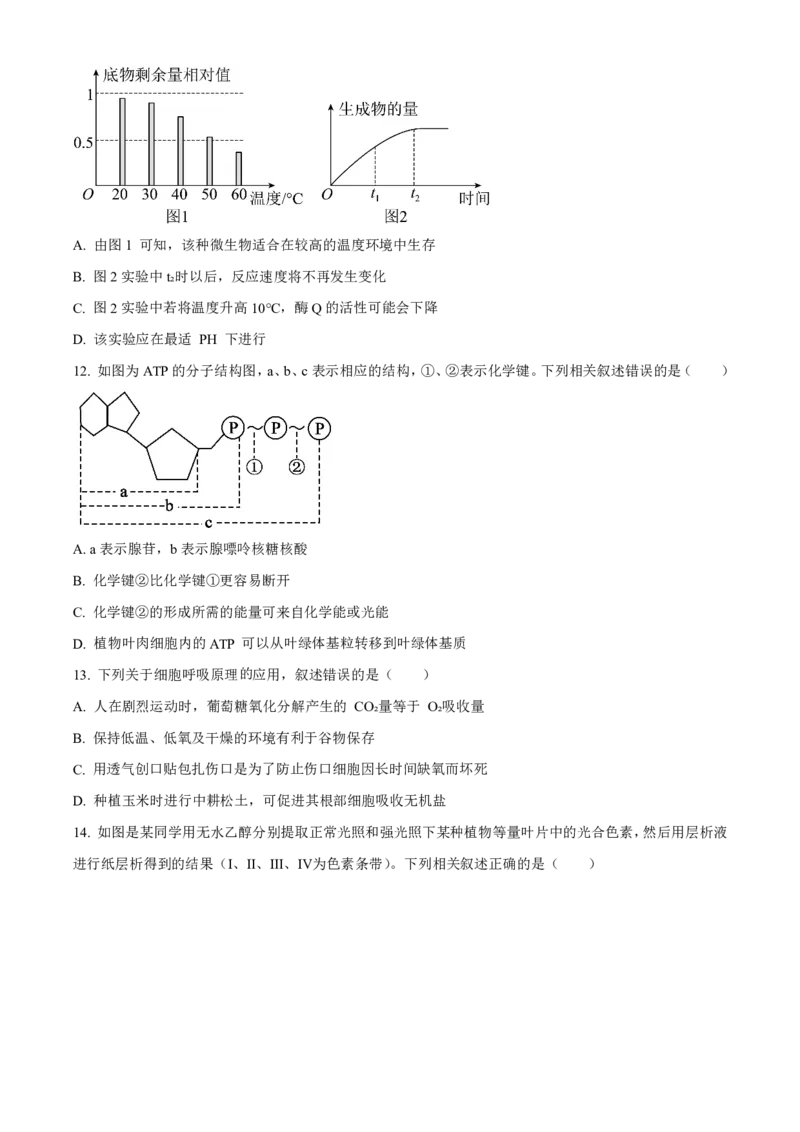 生物2025-2026长春汽三高一上期末考试_2026年02月高一试卷_260209吉林省长春市长春汽车经济技术开发区第三中学2025-2026学年高一上学期期末考试