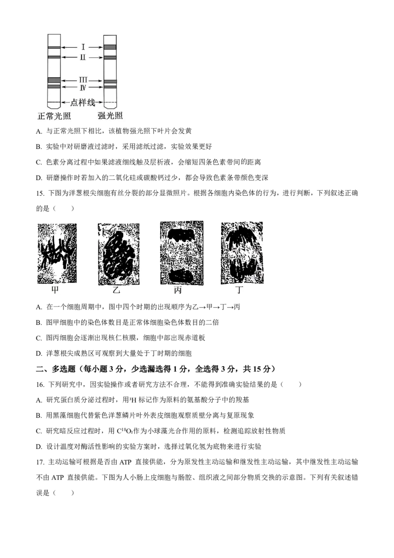 生物2025-2026长春汽三高一上期末考试_2026年02月高一试卷_260209吉林省长春市长春汽车经济技术开发区第三中学2025-2026学年高一上学期期末考试