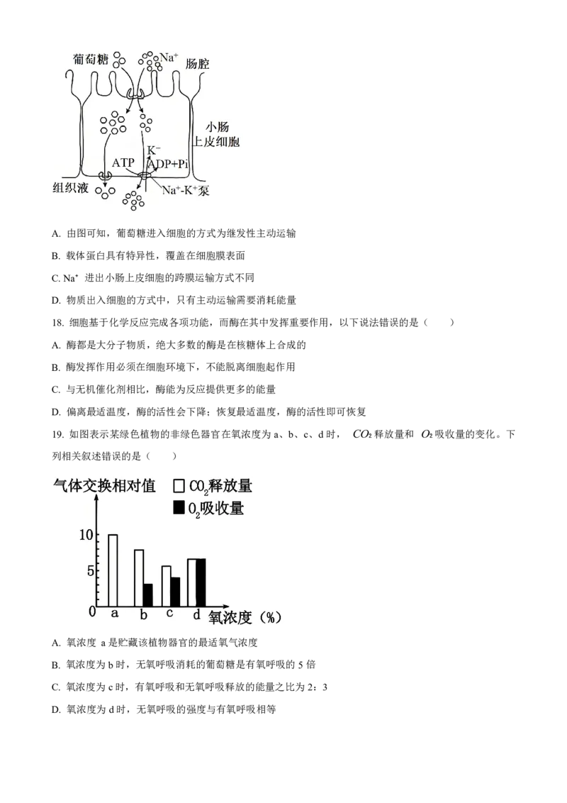 生物2025-2026长春汽三高一上期末考试_2026年02月高一试卷_260209吉林省长春市长春汽车经济技术开发区第三中学2025-2026学年高一上学期期末考试