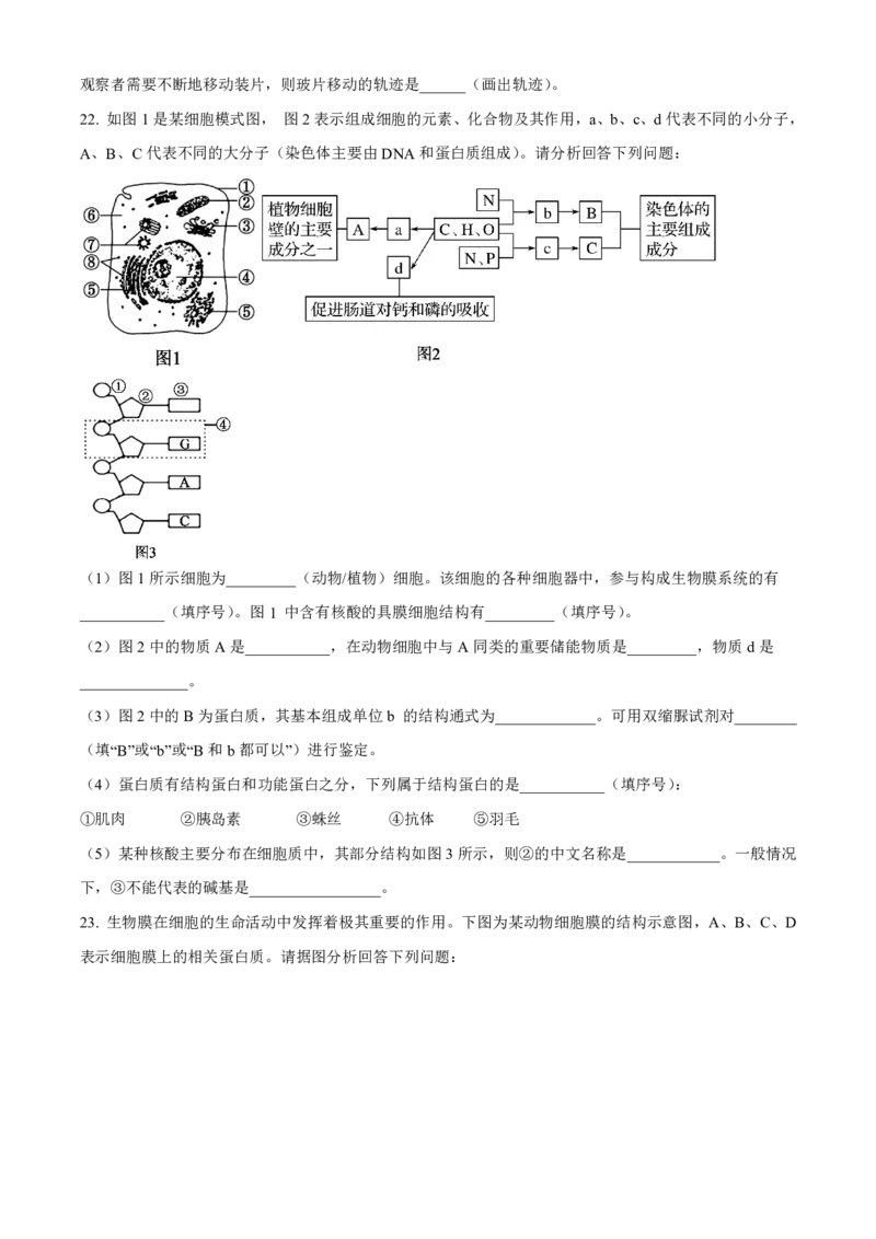 生物2025-2026长春汽三高一上期末考试_2026年02月高一试卷_260209吉林省长春市长春汽车经济技术开发区第三中学2025-2026学年高一上学期期末考试