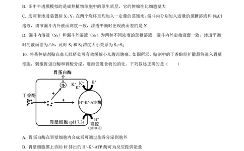 生物2025-2026长春汽三高一上期末考试_2026年02月高一试卷_260209吉林省长春市长春汽车经济技术开发区第三中学2025-2026学年高一上学期期末考试