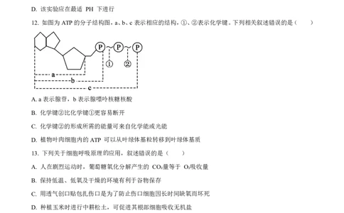 生物2025-2026长春汽三高一上期末考试_2026年02月高一试卷_260209吉林省长春市长春汽车经济技术开发区第三中学2025-2026学年高一上学期期末考试