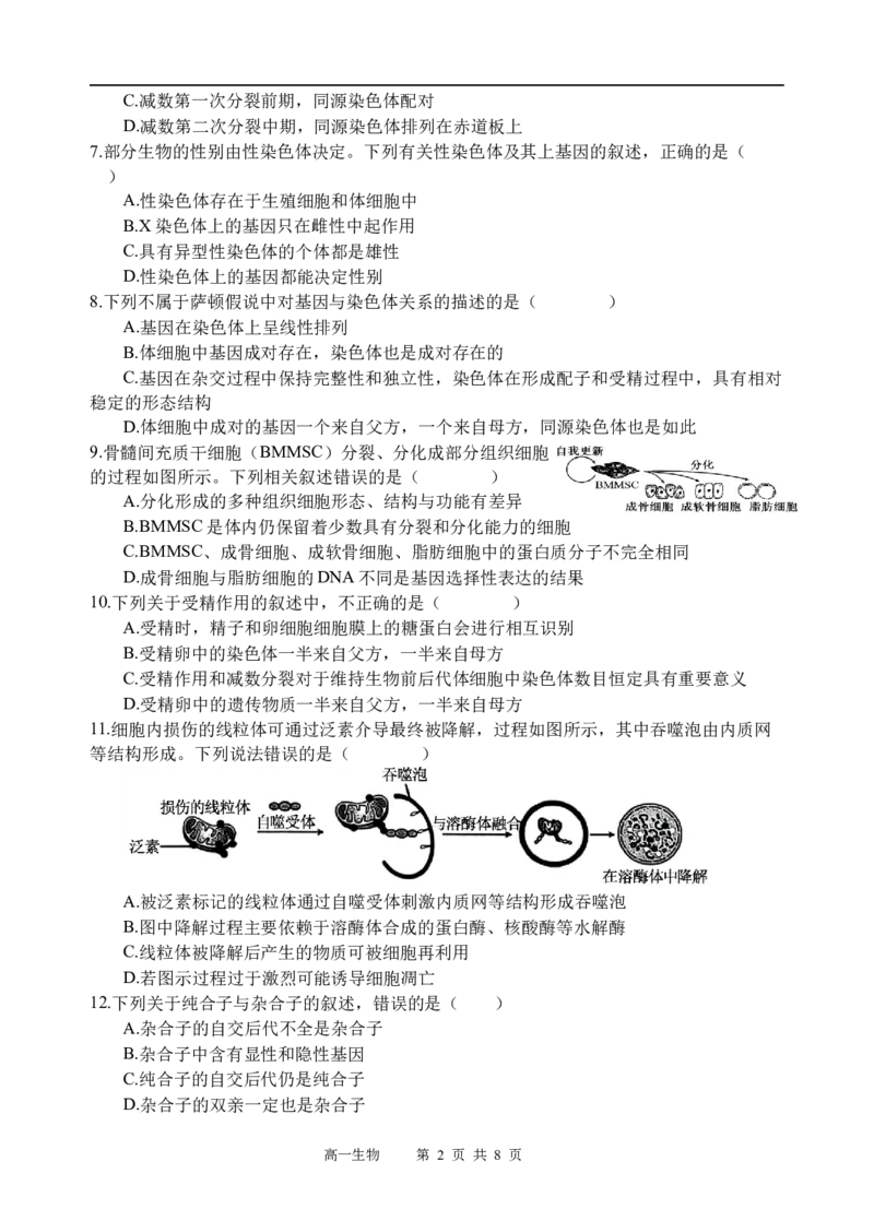 生物试题_2025年05月试卷_0519四川省遂宁市射洪中学2024-2025学年高一下学期期中考试_四川省遂宁市射洪中学2024-2025学年高一下学期期中考试生物试题（含答案）