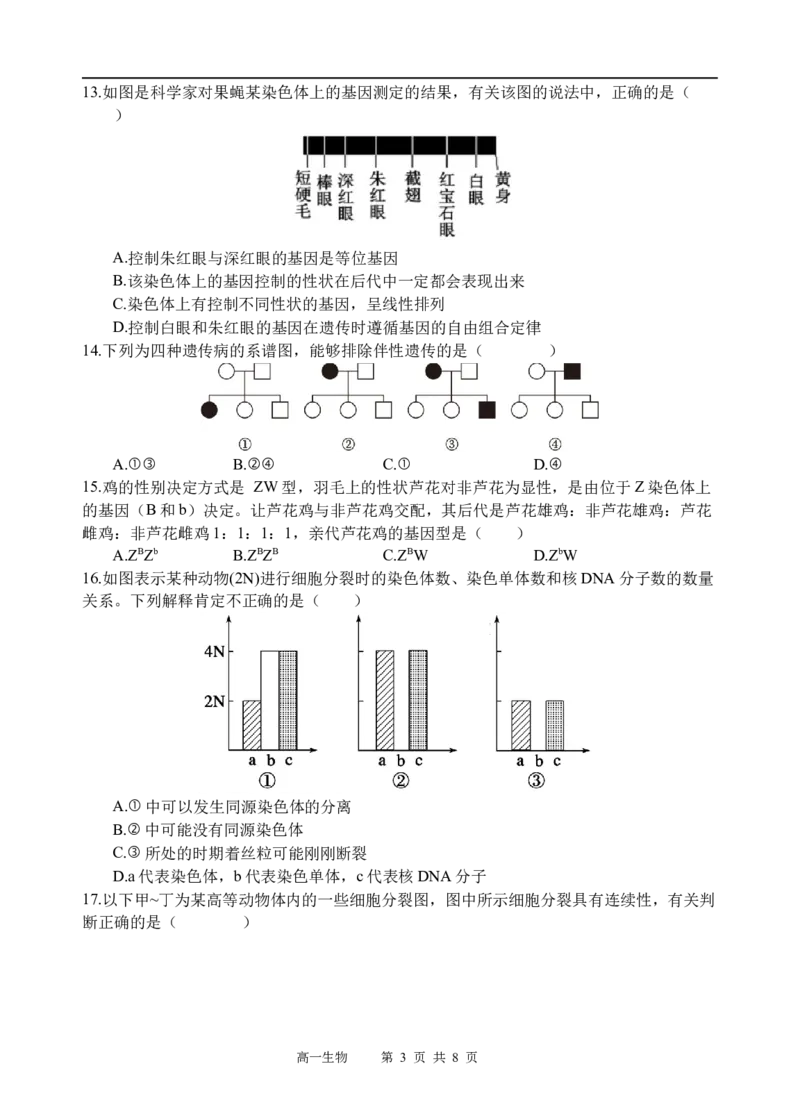 生物试题_2025年05月试卷_0519四川省遂宁市射洪中学2024-2025学年高一下学期期中考试_四川省遂宁市射洪中学2024-2025学年高一下学期期中考试生物试题（含答案）