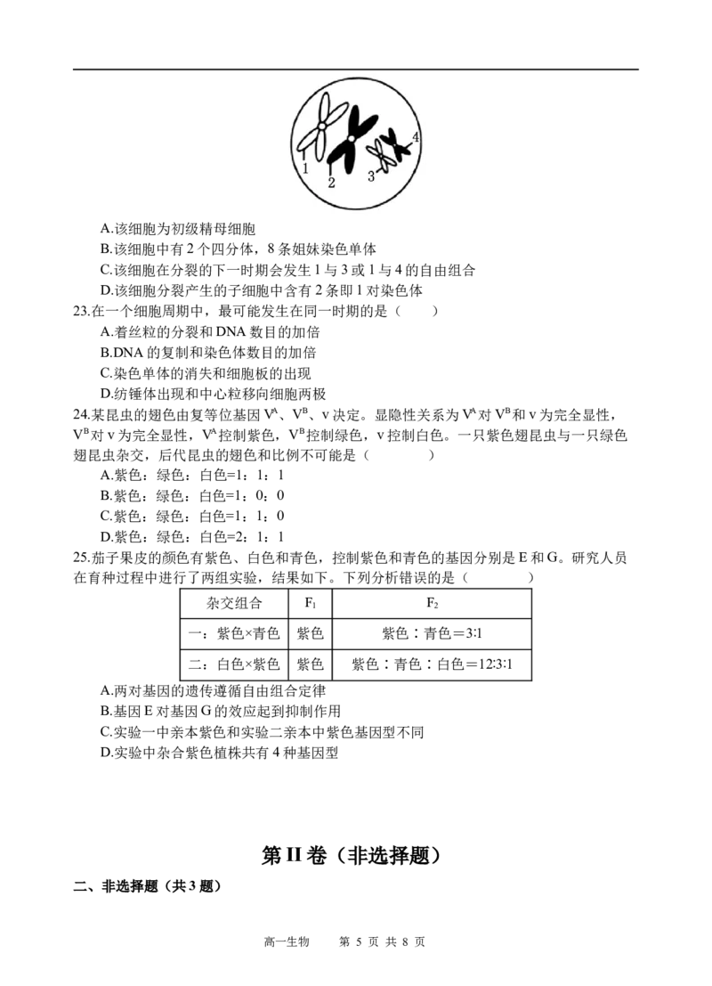 生物试题_2025年05月试卷_0519四川省遂宁市射洪中学2024-2025学年高一下学期期中考试_四川省遂宁市射洪中学2024-2025学年高一下学期期中考试生物试题（含答案）