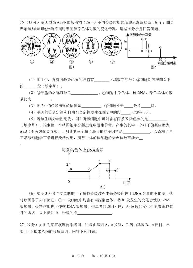 生物试题_2025年05月试卷_0519四川省遂宁市射洪中学2024-2025学年高一下学期期中考试_四川省遂宁市射洪中学2024-2025学年高一下学期期中考试生物试题（含答案）