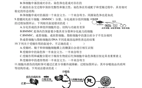 生物试题_2025年05月试卷_0519四川省遂宁市射洪中学2024-2025学年高一下学期期中考试_四川省遂宁市射洪中学2024-2025学年高一下学期期中考试生物试题（含答案）