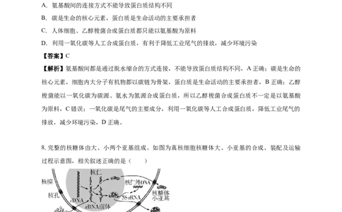 白城一中2025-2026学年度高一上学期第一次月考生物试卷解析_2025年10月高一试卷_251024吉林省白城市第一中学2025-2026学年高一上学期第一次月考