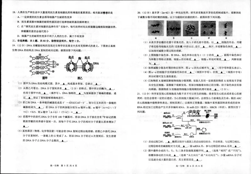 生物_2024年08月试卷_0815江苏省宿迁市2023-2024学年高一下学期期末调研测试_江苏省宿迁市2023-2024学年高一下学期6月期末生物试题_泗阳县2023-2024高一年级下学期生物试题