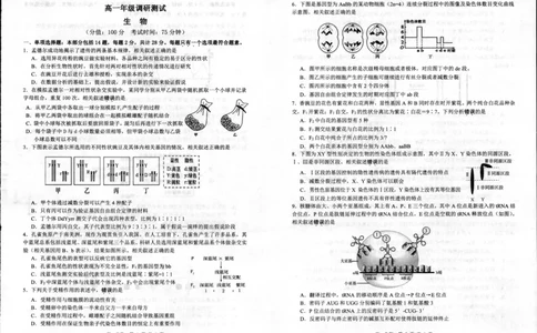 生物_2024年08月试卷_0815江苏省宿迁市2023-2024学年高一下学期期末调研测试_江苏省宿迁市2023-2024学年高一下学期6月期末生物试题_泗阳县2023-2024高一年级下学期生物试题