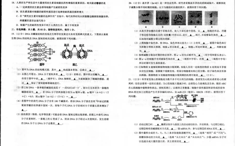 生物_2024年08月试卷_0815江苏省宿迁市2023-2024学年高一下学期期末调研测试_江苏省宿迁市2023-2024学年高一下学期6月期末生物试题_泗阳县2023-2024高一年级下学期生物试题