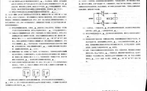 生物_2024年08月试卷_0815江苏省宿迁市2023-2024学年高一下学期期末调研测试_江苏省宿迁市2023-2024学年高一下学期6月期末生物试题_泗阳县2023-2024高一年级下学期生物试题