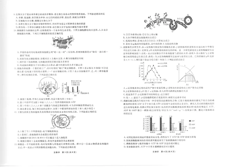 生物正文_2025年12月高一试卷_251215辽宁省名校联盟2025-2026学年高一上学期12月联合考试（全）_辽宁省名校联盟2025-2026学年高一上学期12月联合考试生物试卷含答案