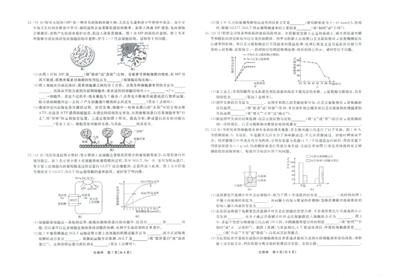 生物正文_2025年12月高一试卷_251215辽宁省名校联盟2025-2026学年高一上学期12月联合考试（全）_辽宁省名校联盟2025-2026学年高一上学期12月联合考试生物试卷含答案