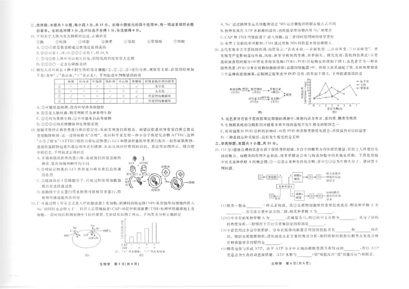 生物正文_2025年12月高一试卷_251215辽宁省名校联盟2025-2026学年高一上学期12月联合考试（全）_辽宁省名校联盟2025-2026学年高一上学期12月联合考试生物试卷含答案