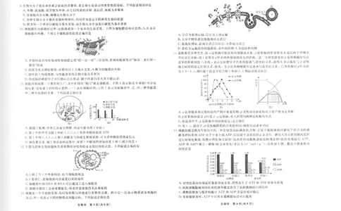 生物正文_2025年12月高一试卷_251215辽宁省名校联盟2025-2026学年高一上学期12月联合考试（全）_辽宁省名校联盟2025-2026学年高一上学期12月联合考试生物试卷含答案