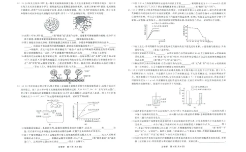 生物正文_2025年12月高一试卷_251215辽宁省名校联盟2025-2026学年高一上学期12月联合考试（全）_辽宁省名校联盟2025-2026学年高一上学期12月联合考试生物试卷含答案